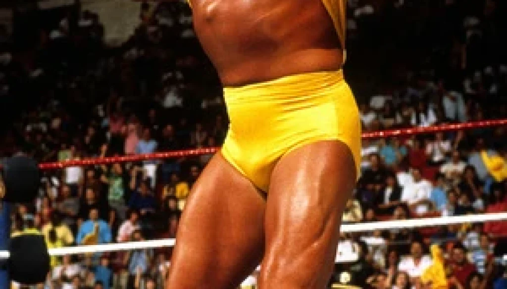 hulk hogan